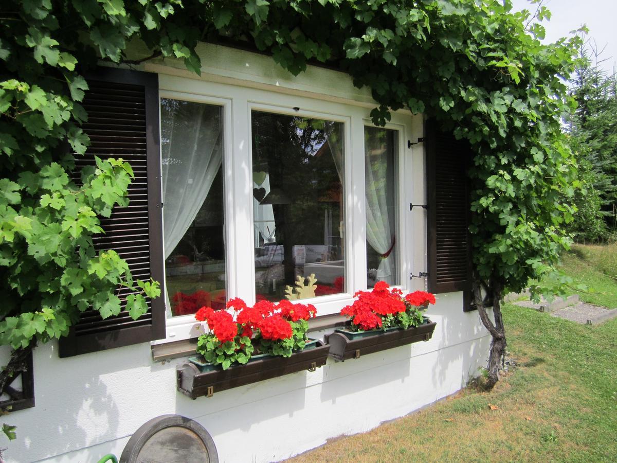 Apartament Haus Holunder Weissbriach Zewnętrze zdjęcie